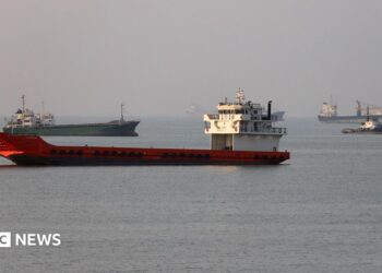 Vessels in the Strait of Hormuz as seen from Oman on 22 June, 2026.