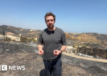 Nick Beake in a black shirt standing in the aftermath of wildfire.
