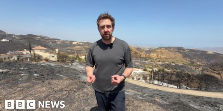 Nick Beake in a black shirt standing in the aftermath of wildfire.