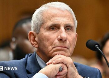 Anthony Fauci at Wednesday's hearing