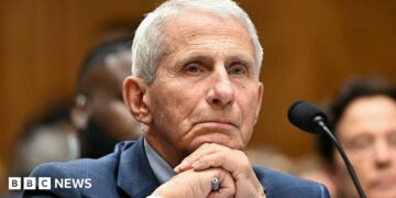 Anthony Fauci at Wednesday's hearing