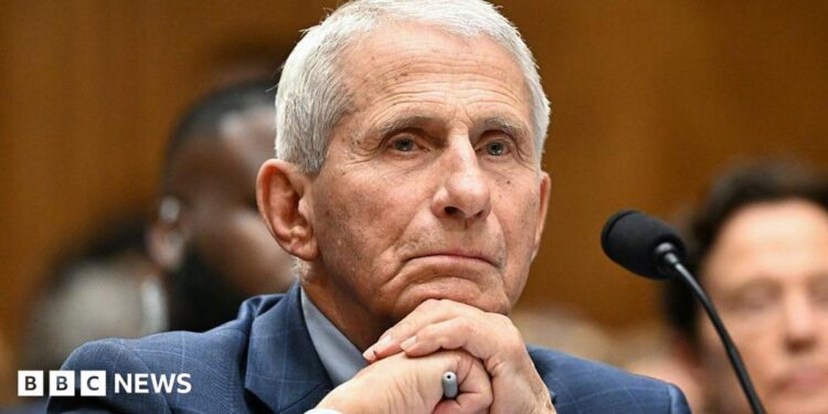 Anthony Fauci at Wednesday's hearing