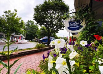 image shows coffee shop on Chester main street