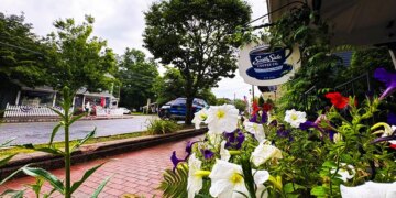 image shows coffee shop on Chester main street