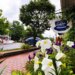 image shows coffee shop on Chester main street