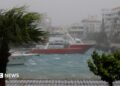 High winds and wet weather at a marina in Ishigaki Island, in Japan's Okinawa Prefecture. Wind blows through a palm tree and boats are seen on a choppy sea close to the quay.