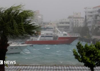 High winds and wet weather at a marina in Ishigaki Island, in Japan's Okinawa Prefecture. Wind blows through a palm tree and boats are seen on a choppy sea close to the quay.