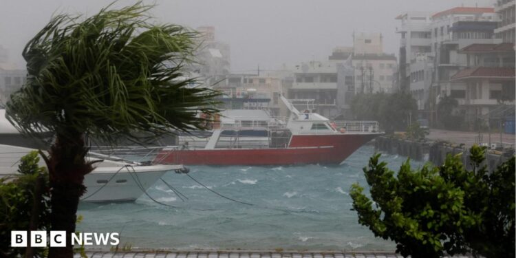 High winds and wet weather at a marina in Ishigaki Island, in Japan's Okinawa Prefecture. Wind blows through a palm tree and boats are seen on a choppy sea close to the quay.