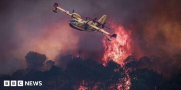 A small yellow airplane flies over red flames rising in smoke above dark trees.