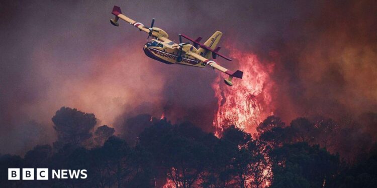 A small yellow airplane flies over red flames rising in smoke above dark trees.