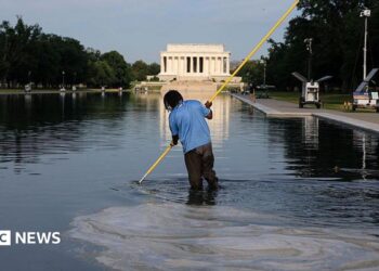 Workers clean the Lincoln Memorial Reflecting Pool on the National Mall on June 25, 2026 in Washington, DC.