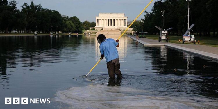 Workers clean the Lincoln Memorial Reflecting Pool on the National Mall on June 25, 2026 in Washington, DC.