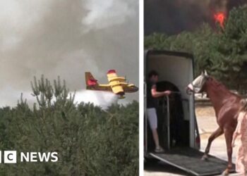 Composite image of a plane dropping water and a horse being loaded into a van, fire in the background