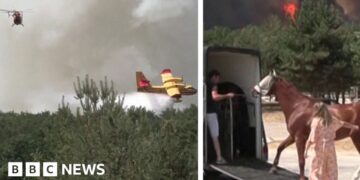 Composite image of a plane dropping water and a horse being loaded into a van, fire in the background