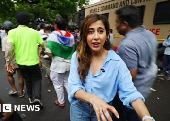 BBC's Azadeh Moshiri at protest site