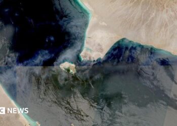 The Bab al-Mandab Strait in an aerial image.