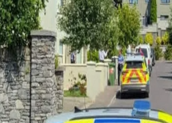 A blue and yellow Garda (Irish police) car is parked sideways across the walled entrance to a housing estate on a bright sunny day.  A male officer in a blue uniform stands close to the wall behind the car. There is another parked Garda car in the background.  The estate contains a small number of large detached houses.  Two yellow traffic cones are positioned on either side of the first patrol car.