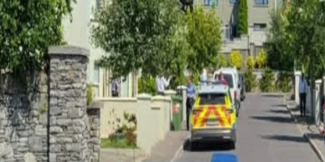 A blue and yellow Garda (Irish police) car is parked sideways across the walled entrance to a housing estate on a bright sunny day.  A male officer in a blue uniform stands close to the wall behind the car. There is another parked Garda car in the background.  The estate contains a small number of large detached houses.  Two yellow traffic cones are positioned on either side of the first patrol car.