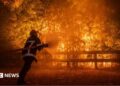 Photo shows a firefighter battling flames from a wildfire spreading in Ares, south-western France, 25 July 2026.