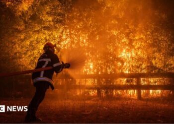 Photo shows a firefighter battling flames from a wildfire spreading in Ares, south-western France, 25 July 2026.