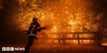 Photo shows a firefighter battling flames from a wildfire spreading in Ares, south-western France, 25 July 2026.