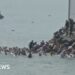 People in the water swimming, group of people climbing rocks