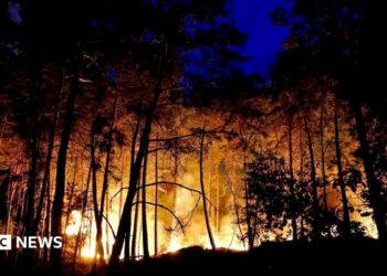 A wildfire burns in Noisy-sur-Ecole near Fontainebleau, southern Paris