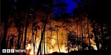 A wildfire burns in Noisy-sur-Ecole near Fontainebleau, southern Paris