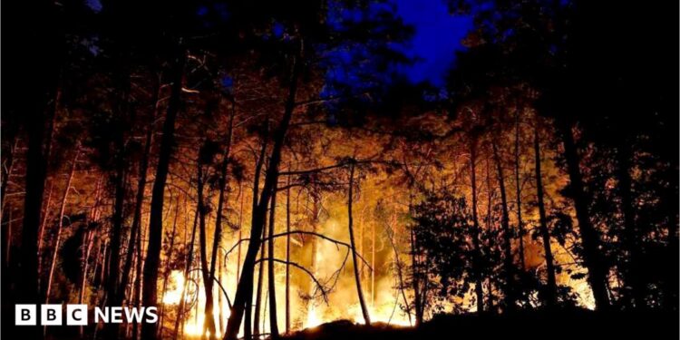 A wildfire burns in Noisy-sur-Ecole near Fontainebleau, southern Paris