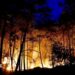 A wildfire burns in Noisy-sur-Ecole near Fontainebleau, southern Paris