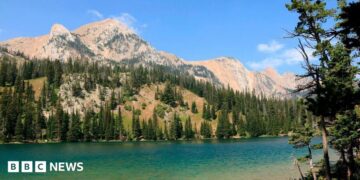 An aqua-blue river runs through a valley surrounded by pine trees and rocky mountains