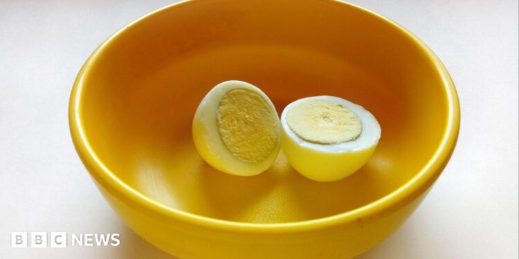 A boiled egg placed in a yellow plastic bowl