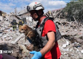A rescue worker wearing a helmet carries a small dog next to the rubble of a building destroyed by an attack.