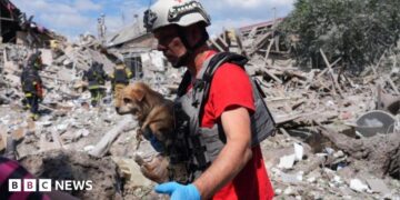 A rescue worker wearing a helmet carries a small dog next to the rubble of a building destroyed by an attack.