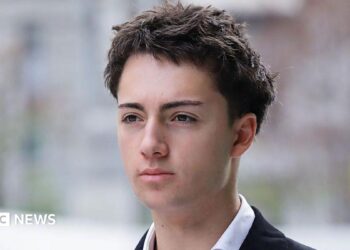 Didier Gaspard Owen Maximilien, French teen fined in Singapore for licking vending machine straw