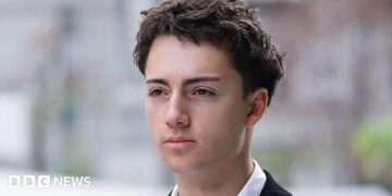Didier Gaspard Owen Maximilien, French teen fined in Singapore for licking vending machine straw