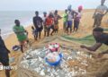 Fisherman on Sherbo Island in Sierra Leone stand around a net holding their latest catch