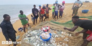 Fisherman on Sherbo Island in Sierra Leone stand around a net holding their latest catch