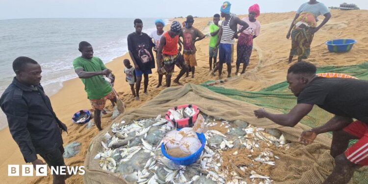 Fisherman on Sherbo Island in Sierra Leone stand around a net holding their latest catch