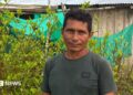 Coca farmer Perea standing among his plants. Behind him are green sheets hanging up in front of a building.