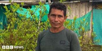 Coca farmer Perea standing among his plants. Behind him are green sheets hanging up in front of a building.