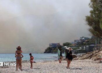 Smoke fills the sky as a fire burns through mixed agricultural and forest land in Plomari, Lesvos, Greece, 29 July 2026