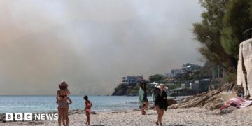 Smoke fills the sky as a fire burns through mixed agricultural and forest land in Plomari, Lesvos, Greece, 29 July 2026