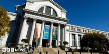 Smithsonian National Museum of American History building with large columns and tourists