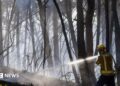 A firefighter sprays water on fire in a forest in Spain