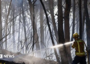 A firefighter sprays water on fire in a forest in Spain