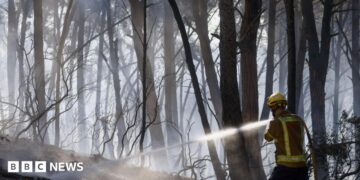A firefighter sprays water on fire in a forest in Spain