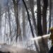 A firefighter sprays water on fire in a forest in Spain