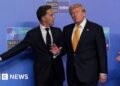 Mark Rutte walking with Donald Trump