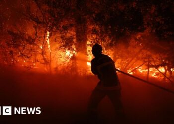 Firefighter putting out a fire in a forest in France.